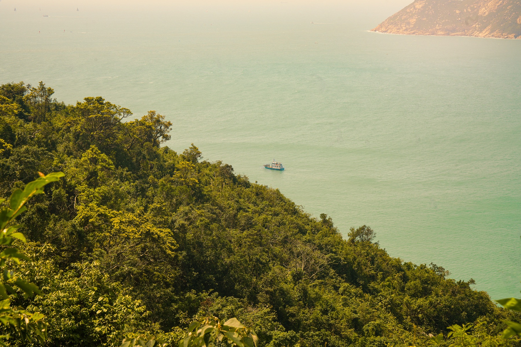 Dense green hillside sweeps down to a calm jade bay with a distant boat.