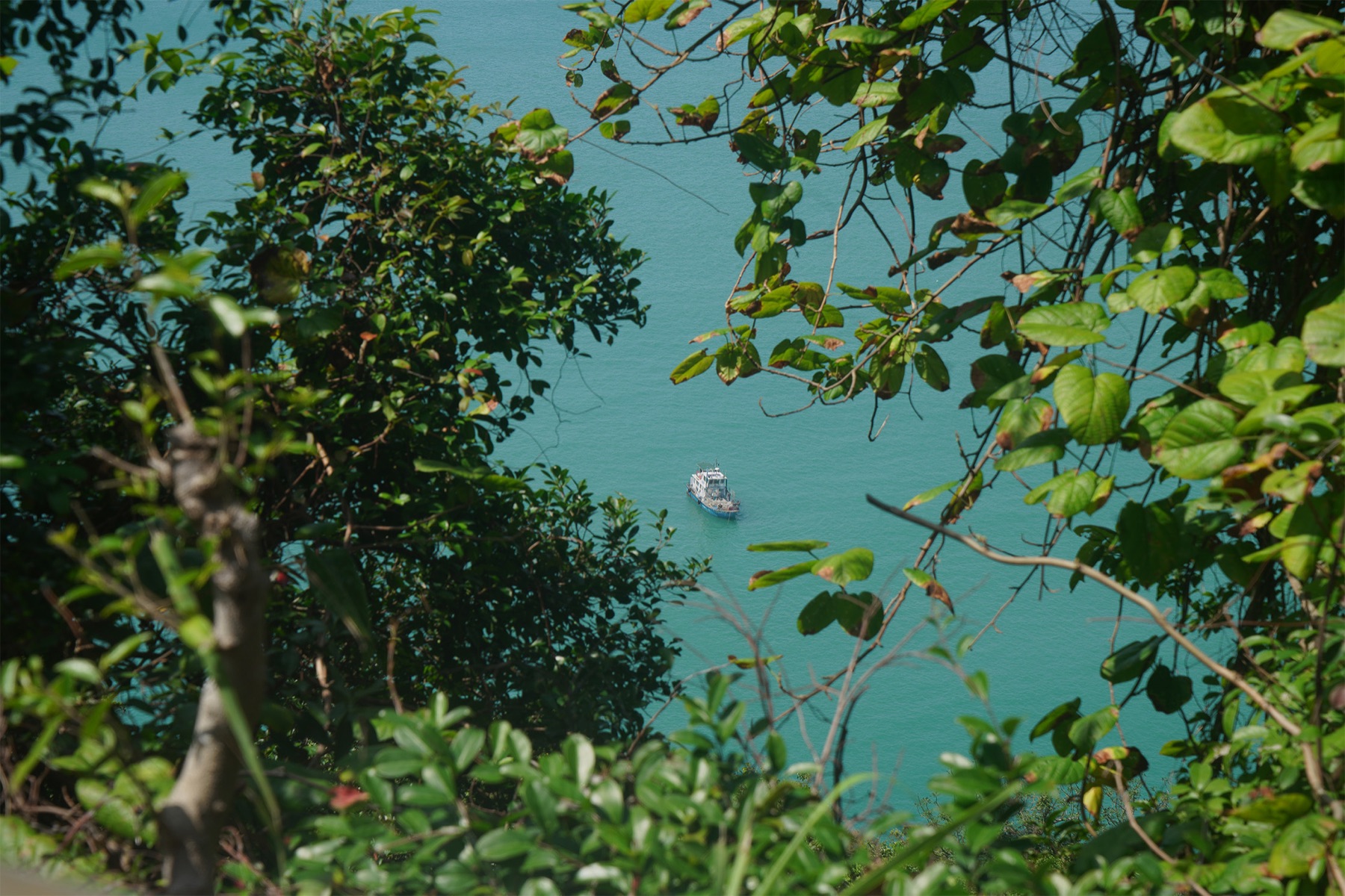 A lone boat drifts on turquoise water, glimpsed through lush green foliage.